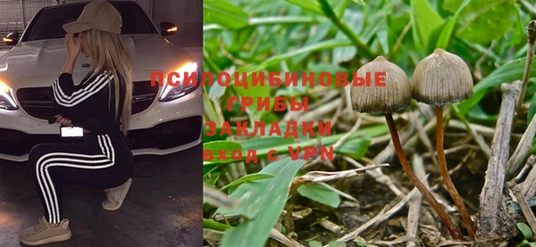 гидра Новокубанск