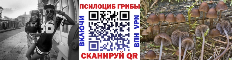 Галлюциногенные грибы Psilocybine cubensis маркетплейс официальный сайт Спас-Клепики